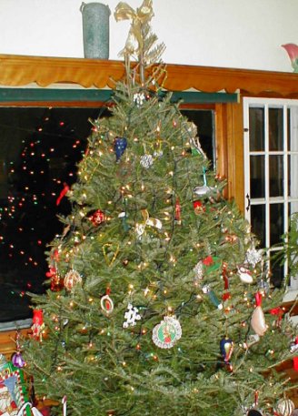 Hazen's Christmas Tree