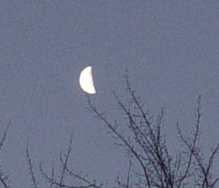 Moon over Punxy, 02/02/05