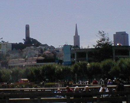 View of Coit and Transamerica Towers from Fishermans' Wharf