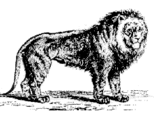 WBHS Lion