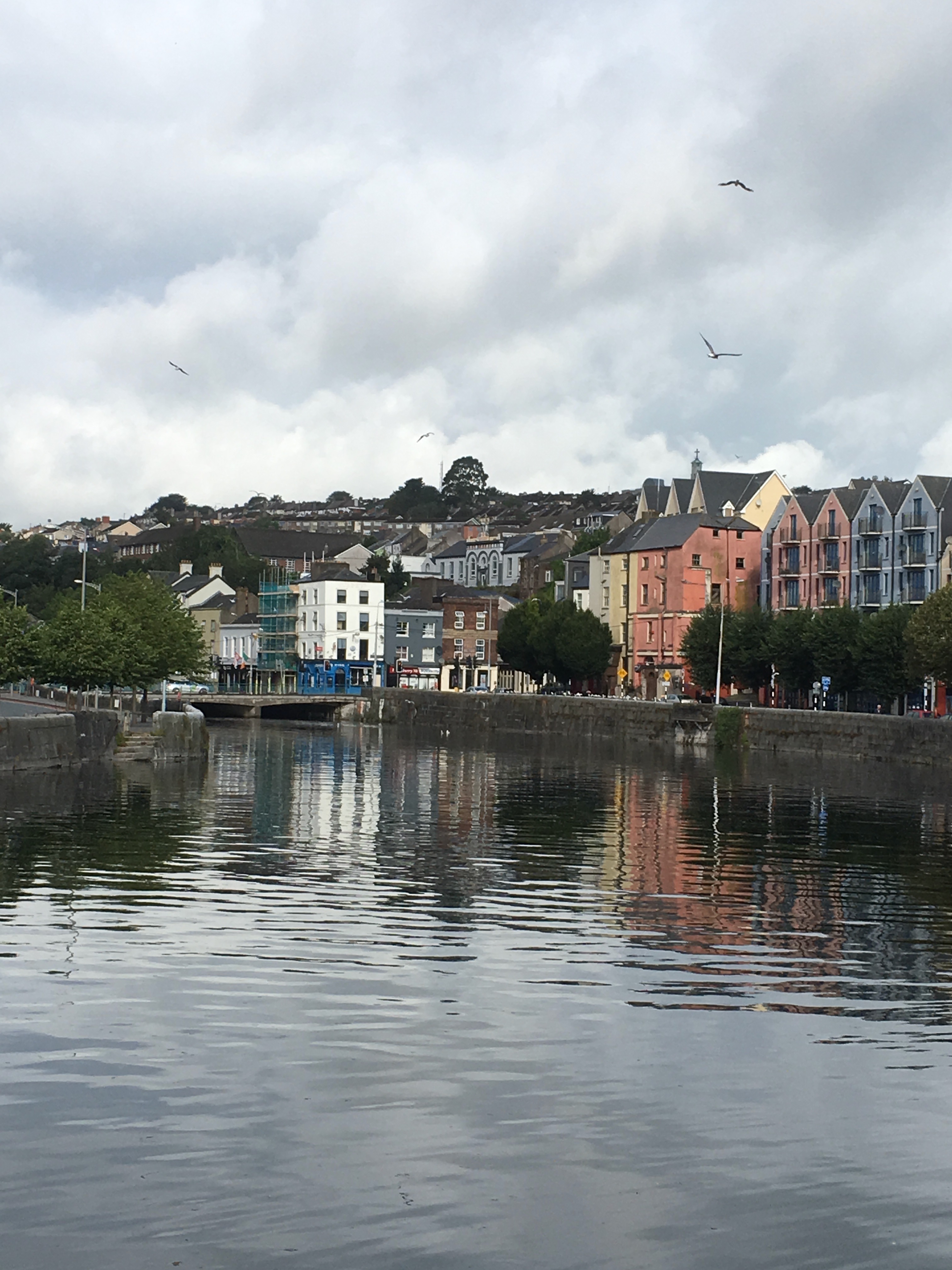 River Lee, Cork, Ireland, 2019